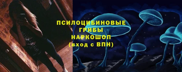 прущие грибы Заволжск