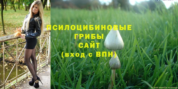 МДПВ Белокуриха