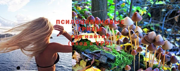 гашиш Беломорск