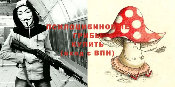 ГАЛЛЮЦИНОГЕННЫЕ ГРИБЫ Белоозёрский