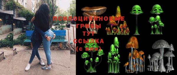 МДПВ Белокуриха