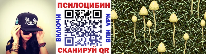 Псилоцибиновые грибы Cubensis  Облучье 